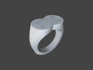 RING-014 3D Model