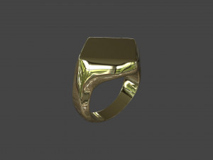 RING-015 Model 3D