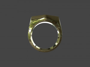 RING-015 Model 3D