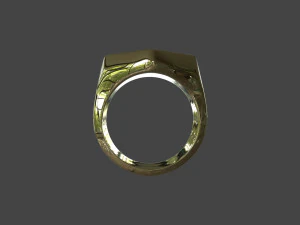 RING-015 3D Model