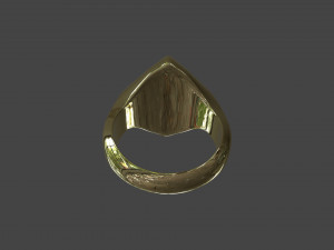 RING-015 Model 3D