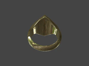 RING-015 3D Model
