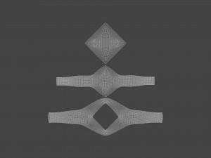 RING-015 Model 3D