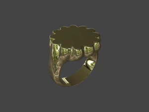 RING-016 3D Model