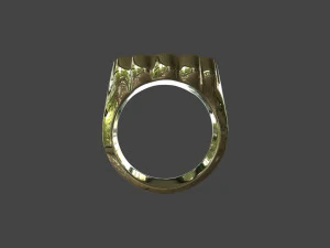 RING-016 3D Model
