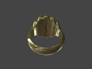 RING-016 3D Model