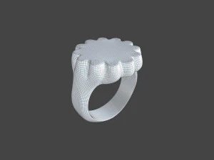 RING-016 3D Model