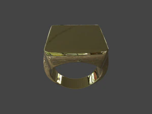 RING-017 3D Modell