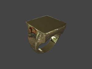 RING-017 3D Model