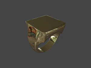 RING-017 3D Model