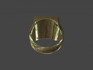 RING-017 3D Model