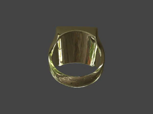 RING-017 3D Model