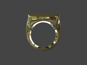 RING-017 3D Model
