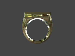 RING-017 3D Model