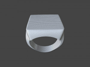 RING-017 3D Model