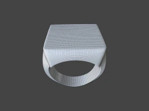 RING-017 3D Model