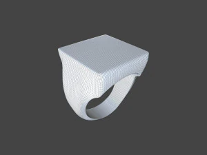 RING-017 3D Model