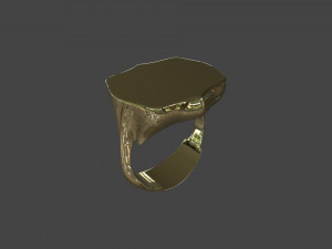 RING-018 3D Model