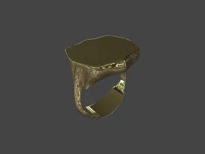 RING-018 3D Model