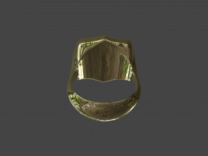 RING-018 3D Model
