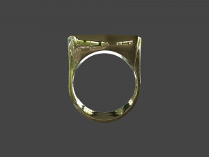 RING-018 3D Model