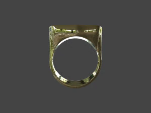 RING-018 3D Model