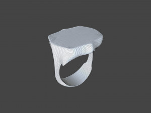 RING-018 3D Model
