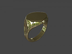 RING-019 3D Model