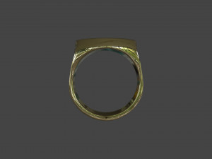 RING-019 3D Model