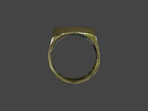 RING-019 3D Model