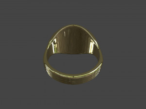 RING-019 3D Model