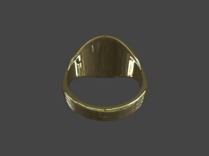 RING-019 3D Model