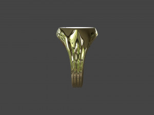 RING-019 3D Model