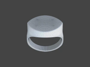 RING-019 3D Model