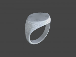 RING-019 3D Model