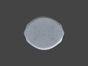 RING-019 3D Model