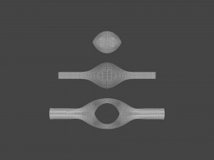 RING-019 3D Model