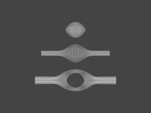 RING-019 3D Model