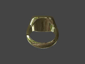 RING-020 3D मॉडल