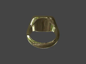 RING-020 3D Model