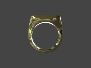 RING-020 3D मॉडल