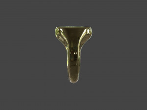 RING-020 3D मॉडल