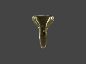 RING-020 3D Model