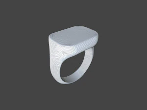 RING-020 3D Model