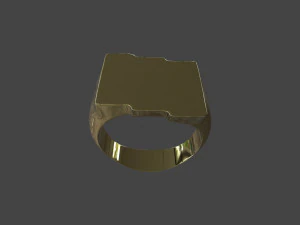 RING-021 3D Model