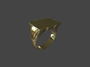 RING-021 3D Model