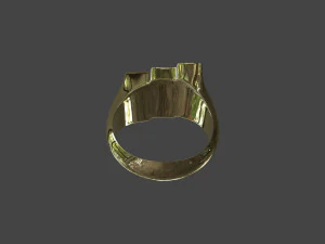 RING-021 3D Model