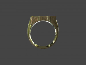 RING-021 3D Модель