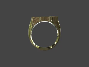 RING-021 3D Model