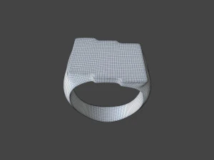 RING-021 3D Model